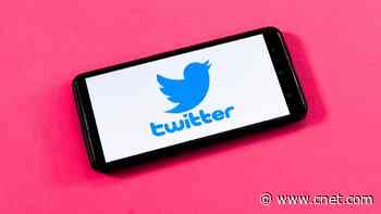 How to Permanently Delete Twitter. The 5 Steps You'll Need to Take     - CNET