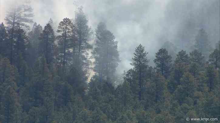 Forest Service announces cause of 2022 Cerro Pelado Fire near Jemez Springs