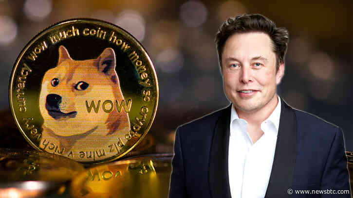 Elon Musk Incorporates Dogecoin Symbol In Twitter Bio, Triggering 5% Increase In Price