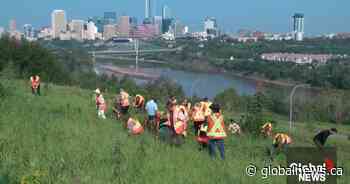 Greener As We Grow project: 1.5M trees to be planted in Edmonton
