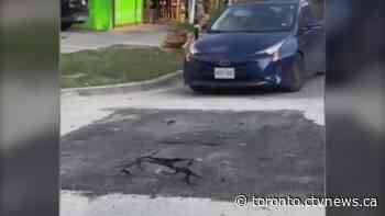 WATCH: Pavement ripples under weight of cars as sinkhole forms in Toronto's west end