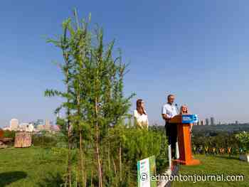 '1.5 millions trees': Edmonton mayor announces joint investment to increase urban forest canopy