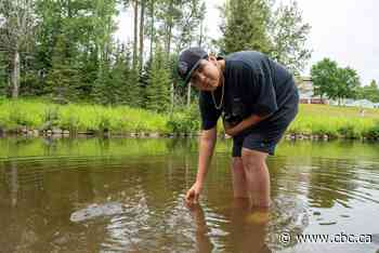 Learning on the land with Indigenous knowledge alongside Western science