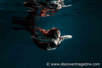 Did Sea Creatures Inspire Mermaid Folklore or Are Mermaids Real?