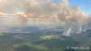 Intense B.C. wildfire season still has 'a long way to go,' official says
