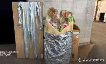 Donair costume sparks online bidding war