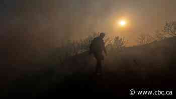 'We are at war': The latest on the heat waves around the world