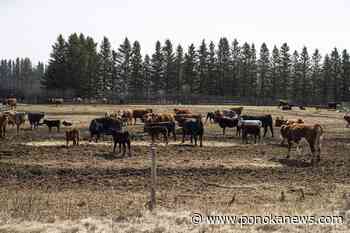 Crop farmers asked to help their ranching neighbours