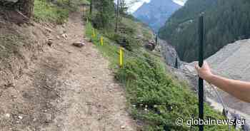 Bear encounter prompts temporary closure of Lady Macdonald Trail near Canmore