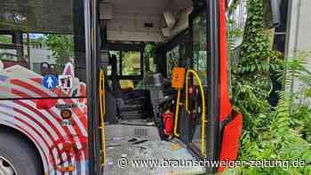 Linienbus prallt gegen Baum