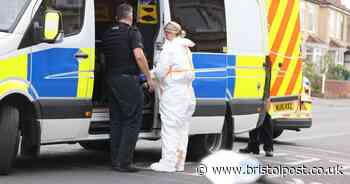 Man arrested in connection with St Pauls murder investigation