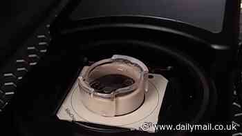 A brain 'living in the Matrix' - scientists unveil $600,000 plan to merge MORE human brain cells with AI funded by Australian intelligence agency