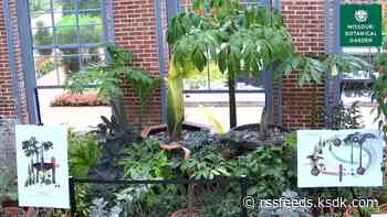 Muny and Missouri Botanical Garden hosting 'Garden Horrors' giveaway