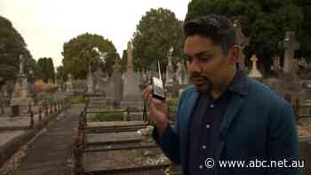 Scammers are using popular psychic's identities to trick people out of money