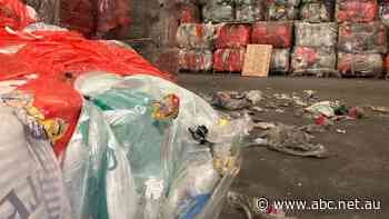 Thousands of tonnes of plastics could be sent offshore, as supermarkets look to restart local recycling program