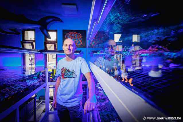 Koraalwinkel Just Corals verhuist naar grotere locatie: “In goede omstandigheden zijn koralen onsterfelijk”