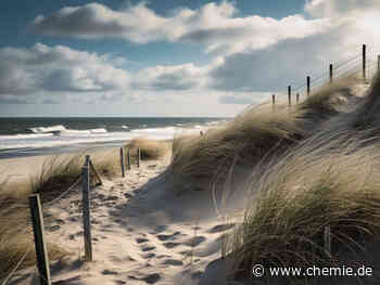 Umweltfreundlichere Bekämpfung von Ölkatastrophen mit Biotensiden