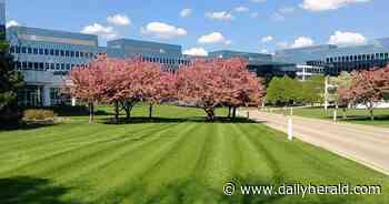 Texas data-center developer under contract to buy Sears headquarters, sources say