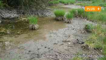 Biotop im Stadtwald ist ausgetrocknet – nun läuft die Suche nach dem Grund