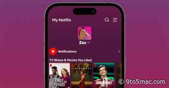 Netflix throws a life raft to everyone wading through the endless stream of content