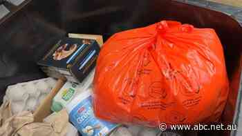 From commercial to household rubbish — how can we fight the war on waste? Our experts answer your questions — as it happened