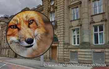 Rawtenstall man who crashed car claims he was swerving fox