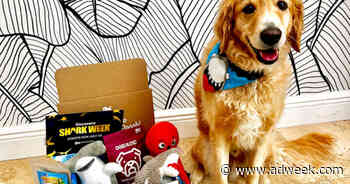 Discovery Channel’s Shark Week Dives Into New Marketing Partnerships