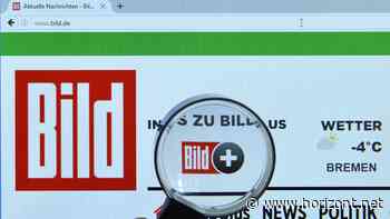 Von wegen nur E-Paper: Wie Zeitungen ihre Gesamtverkäufe mit Onlineabos ins Plus drehen