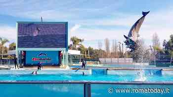 "Mare Fuori", le novità della prossima stagione a Zoomarine