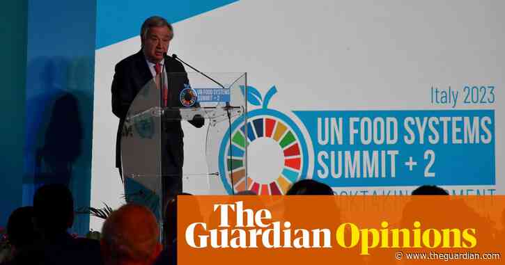 The Guardian view on free school meals: MPs won’t support a more equal, sustainable future when others will | Editorial