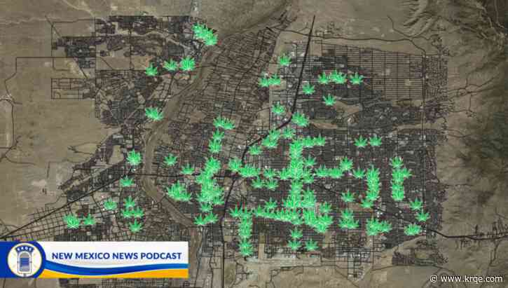 Who will survive in New Mexico's crowded cannabis industry?