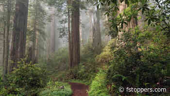 5 Helpful Tips for Shooting Landscape Photos in New Locations