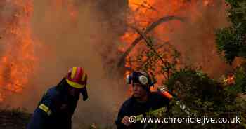 Plane crashes in Greece while fighting wildfires on island of Evia