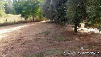 Nell'attesa di un gestore privato il Comune sfalcia l'erba nel parco di Roma sud