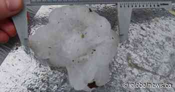 Tornado, strong winds and large hail confirmed in central Alberta