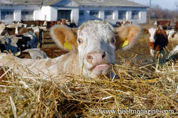 Vitamin A concerns in the Southern Great Plains