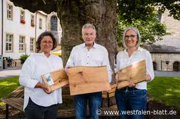 Aus dem Totholz nach dem Paderborner Tornado entstehen einzigartige Unikate