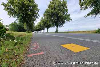 B252: Grüne und ADFC sind gegen Ausbau der Ostwestfalenstraße