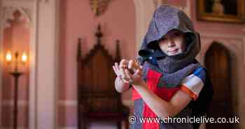 Family-friendly events hosted by the Auckland Project in County Durham this summer