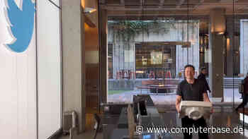 Aus Twitter wird „X“: Elon Musk radiert eine der bekanntesten Marken der Welt aus