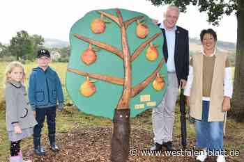 Etliche Zerstörungen sorgen für Unmut in Ottbergen