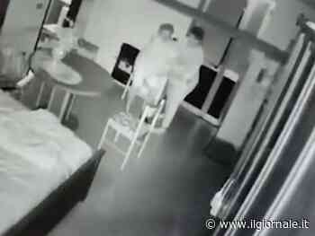 Anziana picchiata dalla badante. Immagini immortalate dalla telecamera