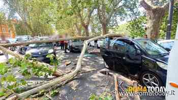 Albero si spezza e travolge dieci auto, ferite due persone