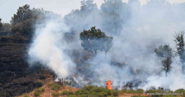 Incendi, anziano morto in Calabria: raggiunto dalle fiamme nel suo letto. Roghi nel Gargano e in Salento: duemila evacuati da tre hotel