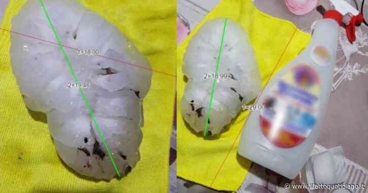 Il chicco di grandine più grande mai caduto in Europa è stato raccolto in provincia di Pordenone