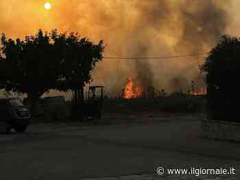 Incendi, nel Sud Italia è emergenza. Le fiamme devastano la Sicilia: tre morti