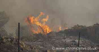 Two air force pilots are killed as they tackle wildfires in Greece