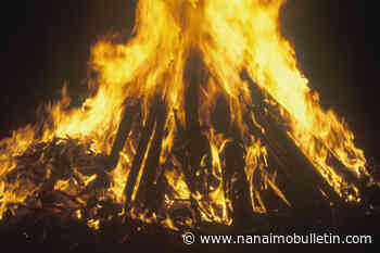 Bonfire fuels $1,150 fine for B.C. man