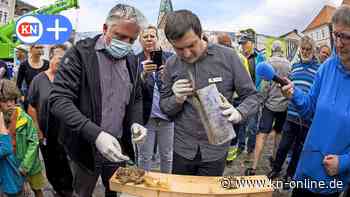 Eutin:  Fund unterm Ehrenmal -Zeitkapsel auf Marktplatz geöffnet
