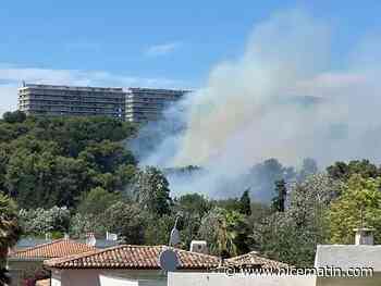 Violent incendie à Cagnes-sur-mer: le feu est fixé, d'importants moyens mobilisés, des habitants évacués... suivez notre direct